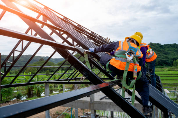 Best Storm Damage Roof Repair  in Creedmoor, NC