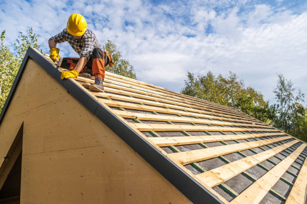 Roof Gutter Cleaning in Creedmoor, NC